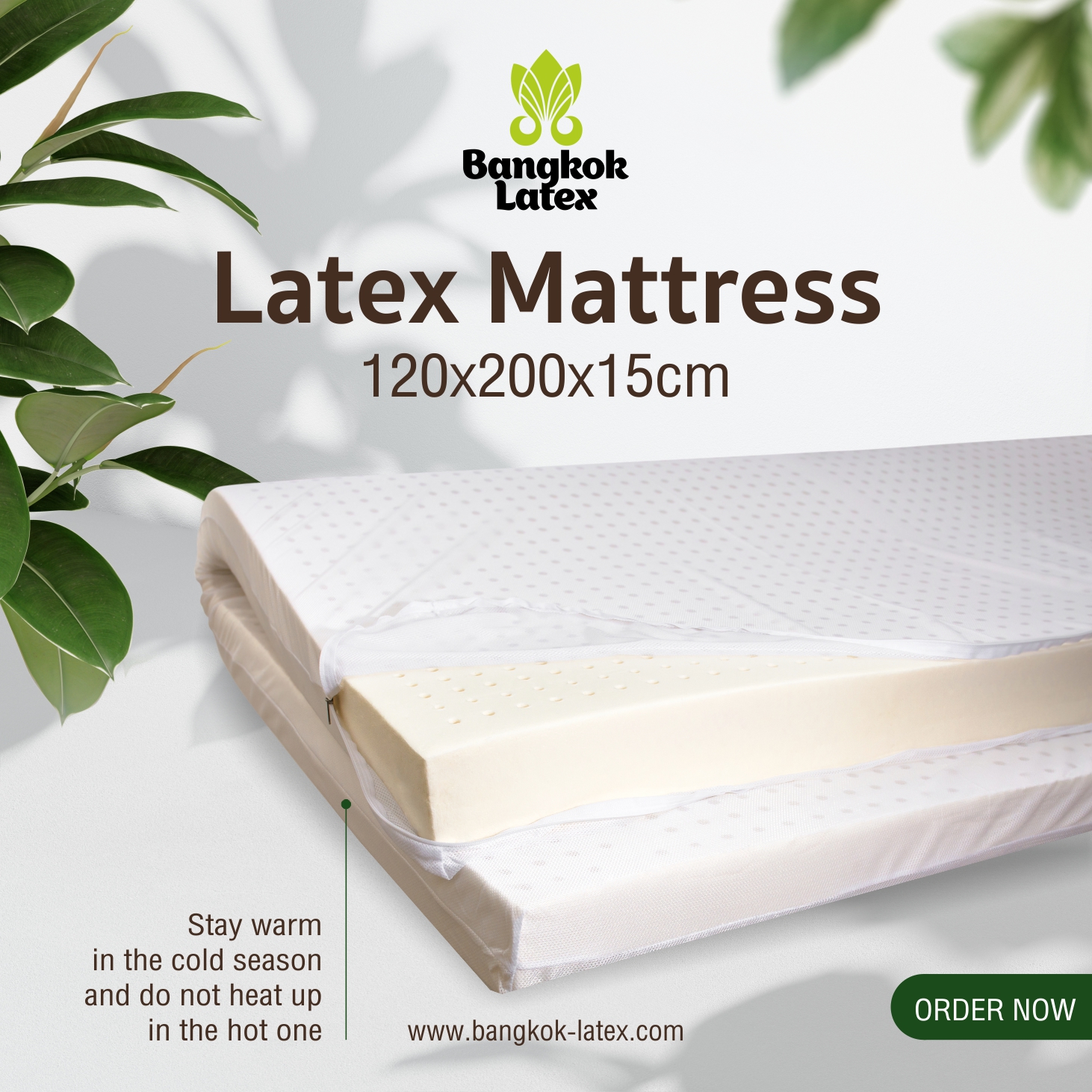 Bangkok Latex Natural Latex Mattress 4 ft (122Ã—183 cm), 15 cm Thick â€“ Orthopedic Back Support